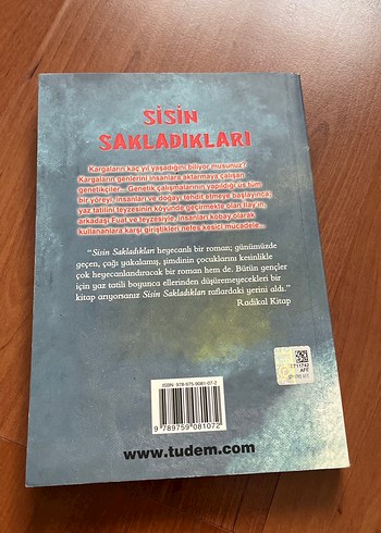 Sis'in Sakladıkları - Miyase Sertbarut