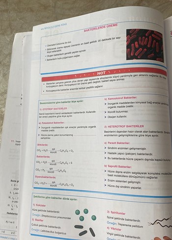 Üniversite Sınavlarına Hazırlık Biyoloji Ders Föyleri Kitabı - Görsel 5