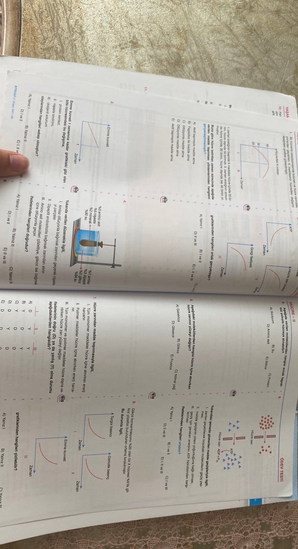 Üniversite Sınavlarına Hazırlık Biyoloji Ders Föyleri Kitabı - Görsel 2