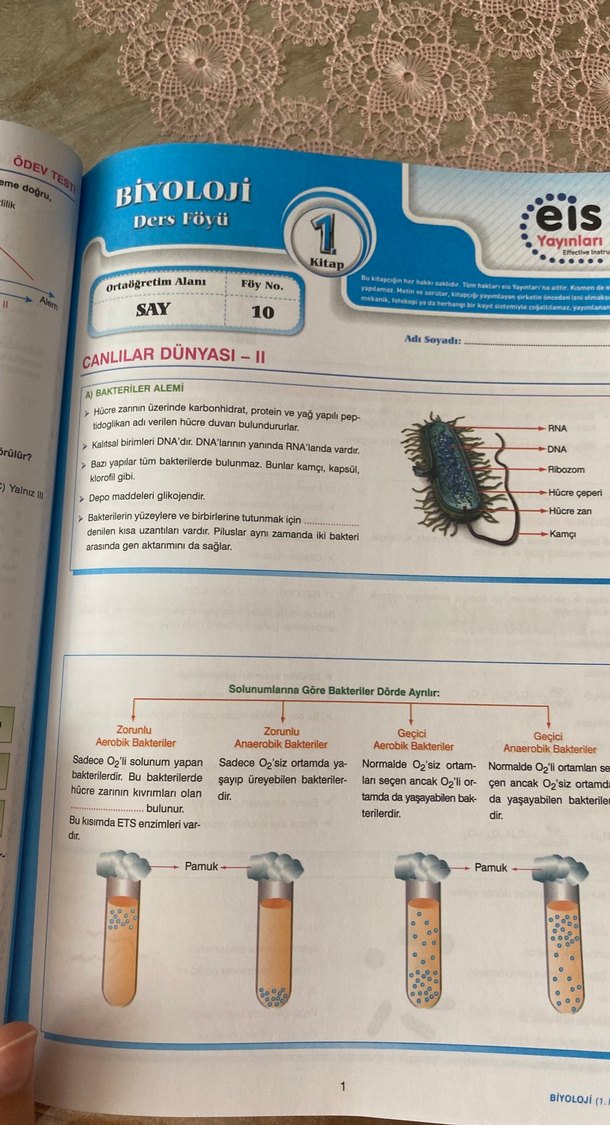 Üniversite Sınavlarına Hazırlık Biyoloji Ders Föyleri Kitabı - Görsel 4