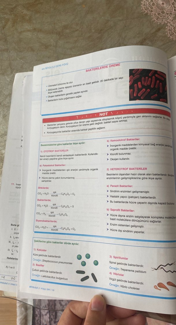 Üniversite Sınavlarına Hazırlık Biyoloji Ders Föyleri Kitabı - Görsel 5