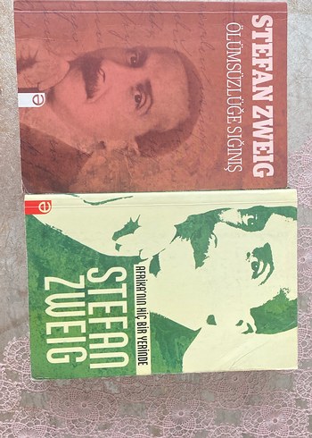 Stefan Zweig Roman Seti - 2 Kitap