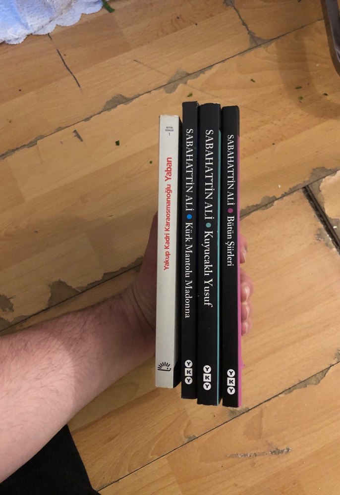 Klasik Roman Kitabı - Görsel 2