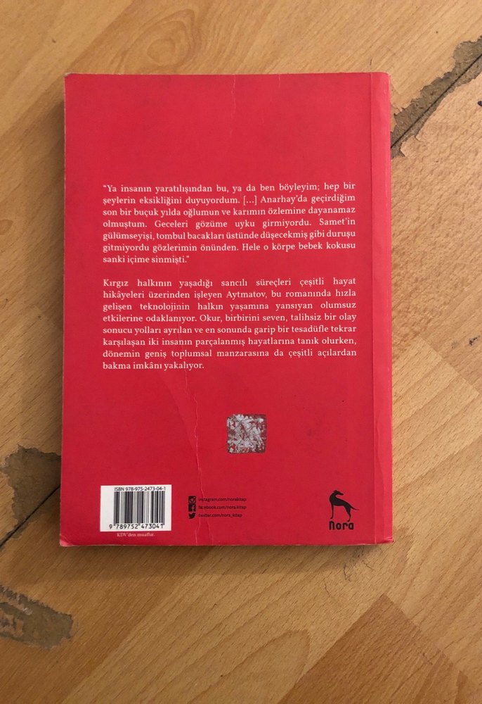 Selvi Boylum Al Yazmalım - Cengiz - Görsel 3