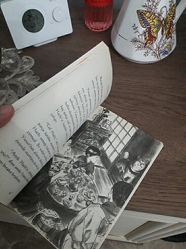  Beden Hachiko (kitap)
