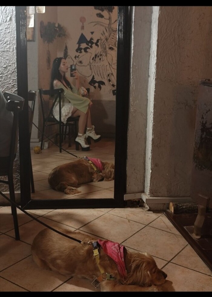 Fairycore bluz - Görsel 2