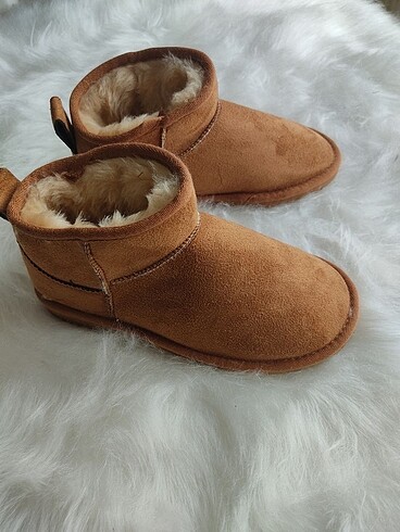 37 Beden Ugg bot