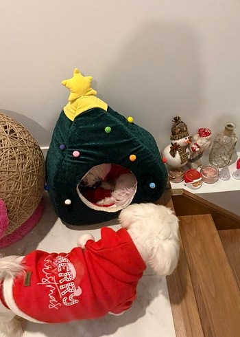 Renkli Yıldızlı Kedi Yatağı - Görsel 3