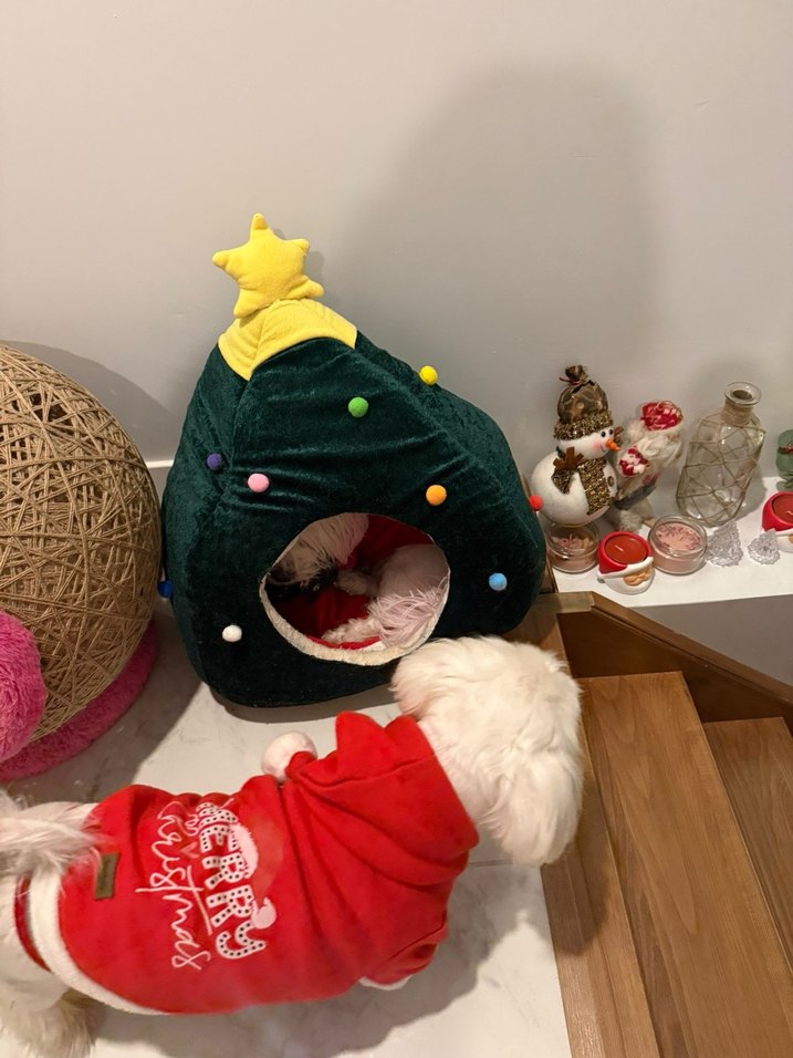 Renkli Yıldızlı Kedi Yatağı - Görsel 3