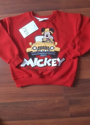 Zara Sweatshirt- Zara