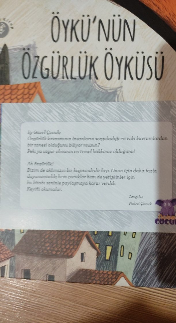 Öykü'nün Özgürlük Öyküsü Çocuk Kitabı - Görsel 2