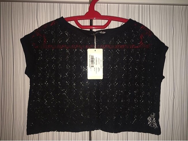 Dilvin Crop