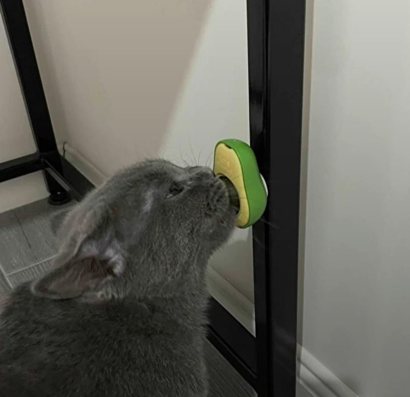 Avokado catnip avokado kedi otu topu avokado kedi nanesi oyuncak - Görsel 5