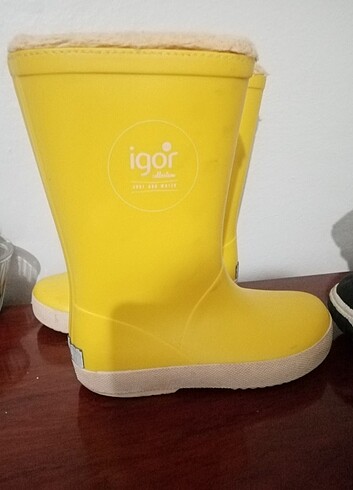 Igor İgor