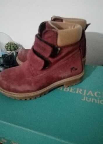Lumberjack Çocuk bot