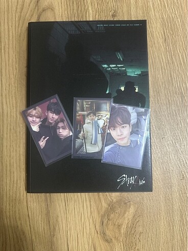 Stray iids i am not album