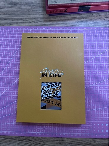 Stray kids skz in life album