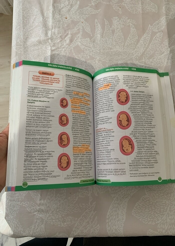 AUZEF Çocuk gelişimi bahar dönemi - Görsel 3