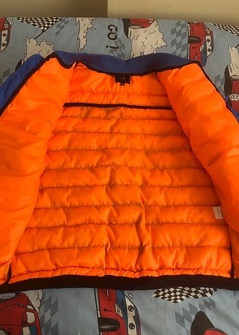 Erkek Mavi Fermuarlı Mont - Görsel 5