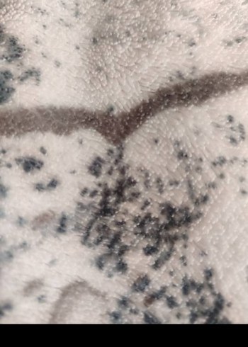 altı metre m2 halı örtüsü - Görsel 4