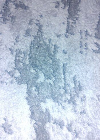 dinarsu halı koridor kaymaz taban yolluk 4 parça fiyatı dır - Görsel 3