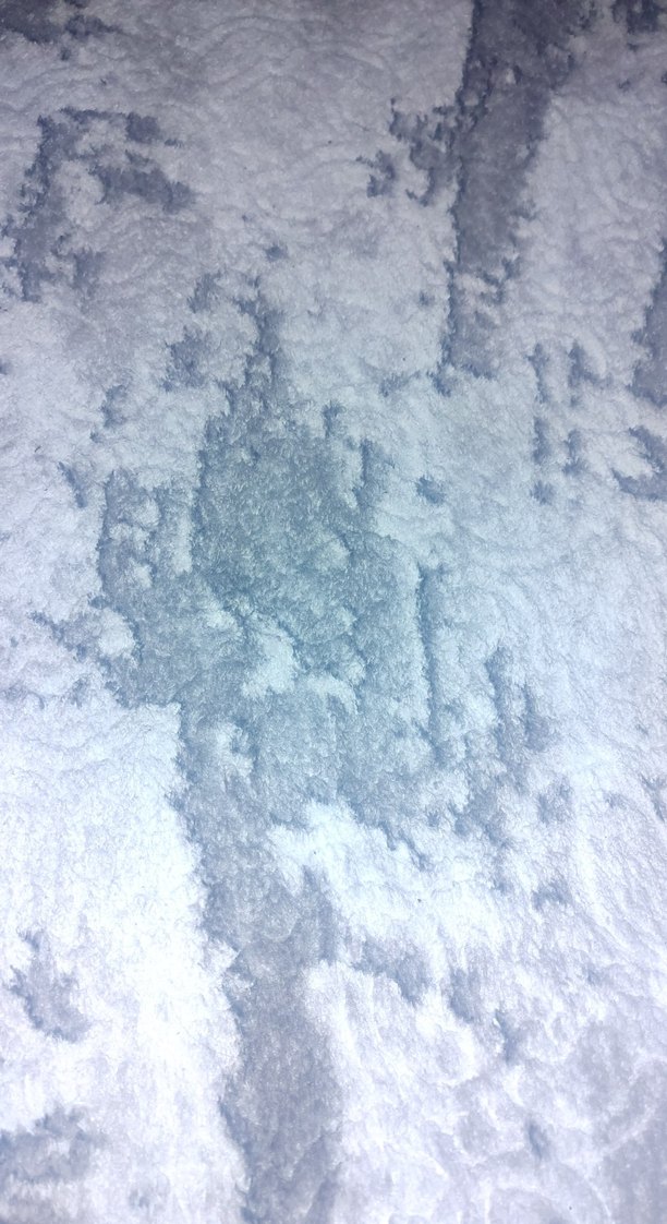 dinarsu halı koridor kaymaz taban yolluk 4 parça fiyatı dır - Görsel 3