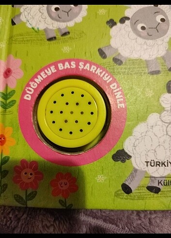 Küçük Elif'in Koyunları Müzikli Kitap