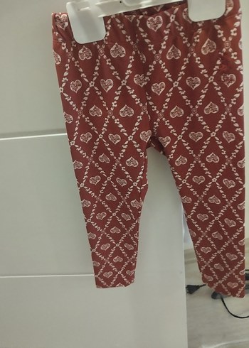 U.S Polo Assn. 5 Yaş