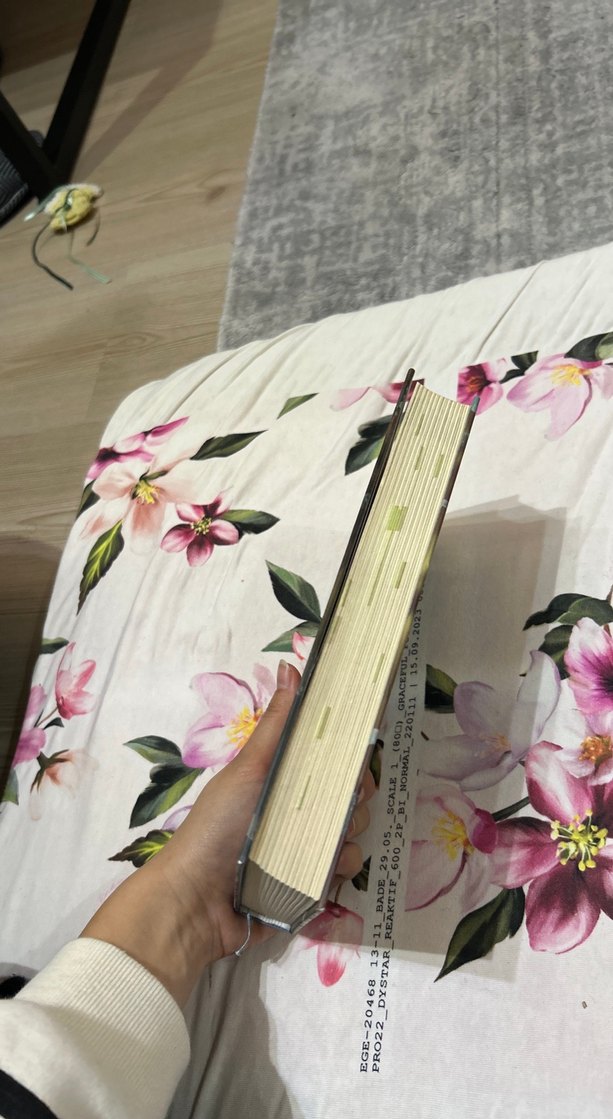 Sadece Rüzgar Bilir - Amy Harmon - Görsel 2