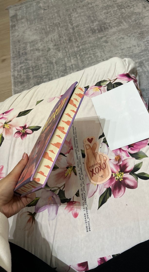 Axie Oh'dan XOXO Romanı - Görsel 2