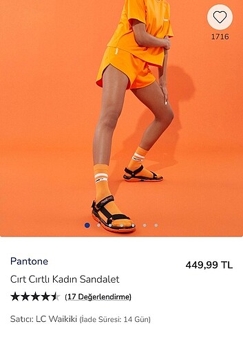 38 Beden Pantone sandalet 