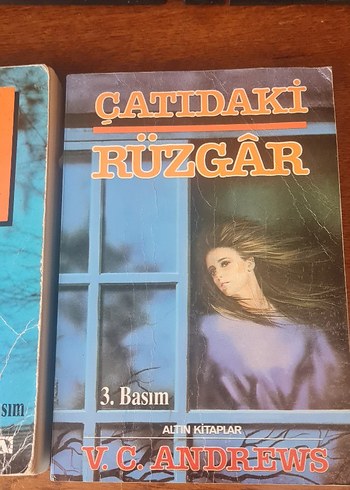 Çatıdaki Rüzgar - V.C. Andrews