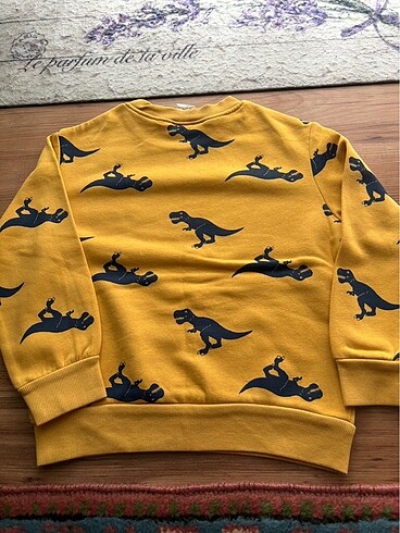 H&M H&M 2-4 yas sweatshirt