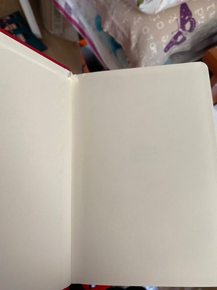 2024 Parlak Kırmızı Planlayıcı - Görsel 2