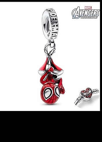 Pandora charm 