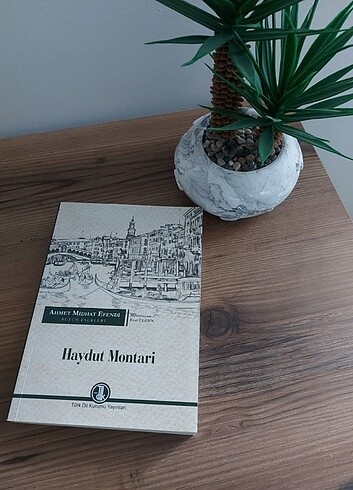 Haydut Montari - Ahmet Mithat Efendi - Görsel 2