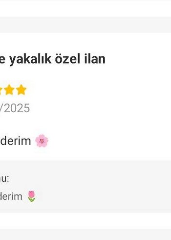 büyük fiyonk toka - Görsel 6