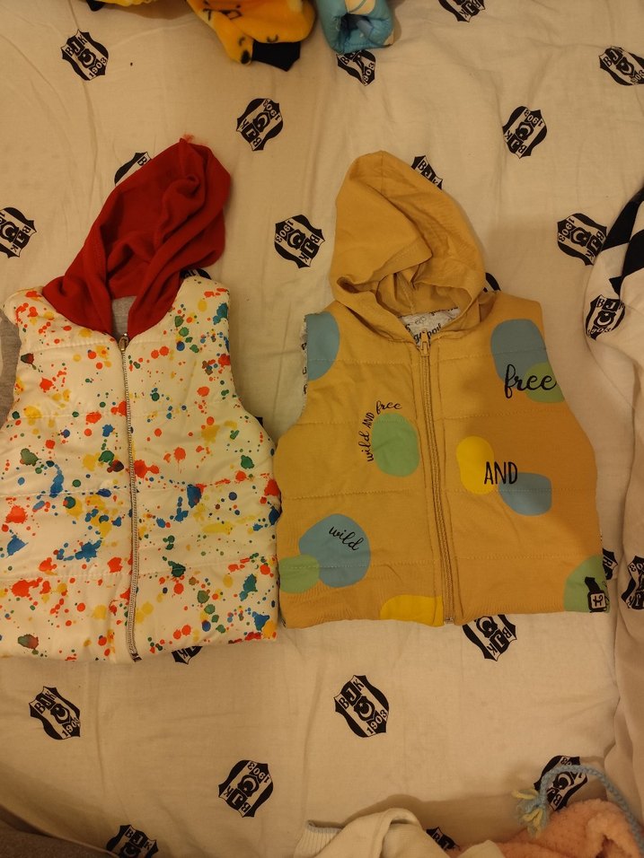 Renkli Kapüşonlu Fermuarlı Erkek Yelek - Görsel 2