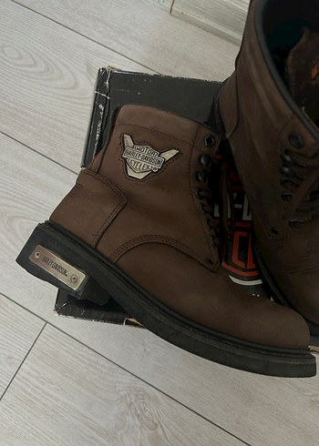 37 Beden Harley Bot