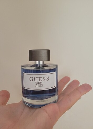 Guess Guess 1981 İndigo