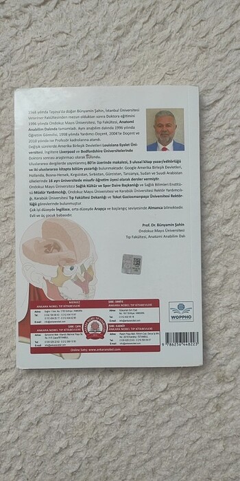 TEMEL ANATOMİ