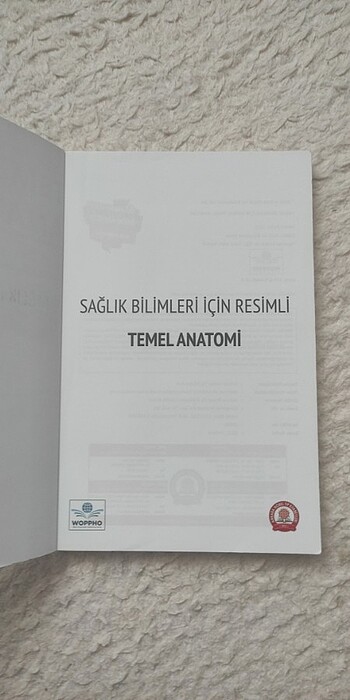 Beden TEMEL ANATOMİ