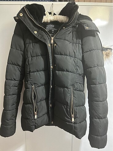Stradivarius mont