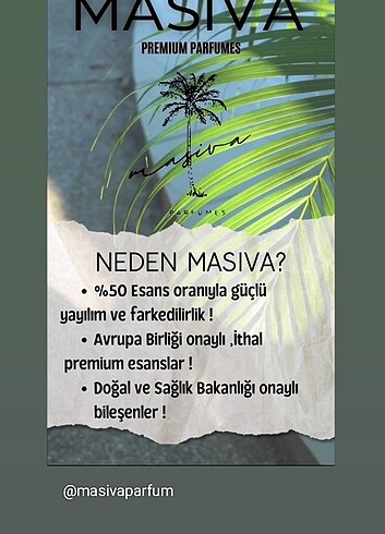 Zara MASIVA - BLACK PANTER (NASOMATTO-BLACK AFGANO)
