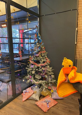  Beden Damlanın Dolabı Örgü Havuç Kafa