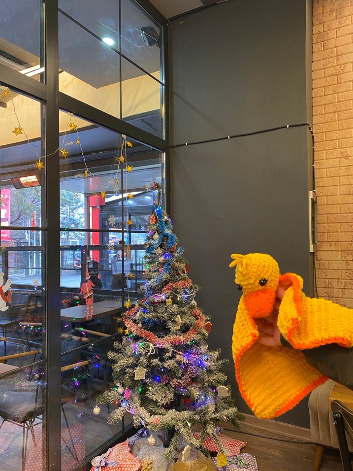 Damlanın Dolabı Örgü Havuç Kafa - Görsel 3