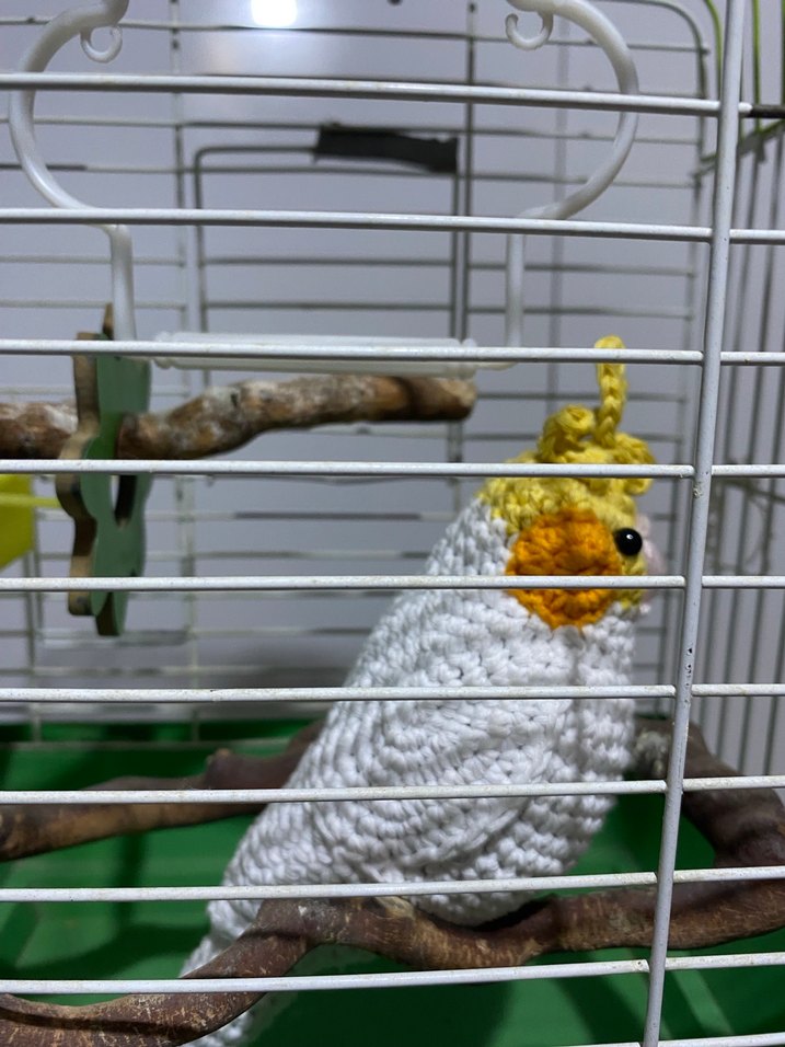 Renkli Tüylü Beyaz Örgü Papağan Peluş Oyuncak - Görsel 3