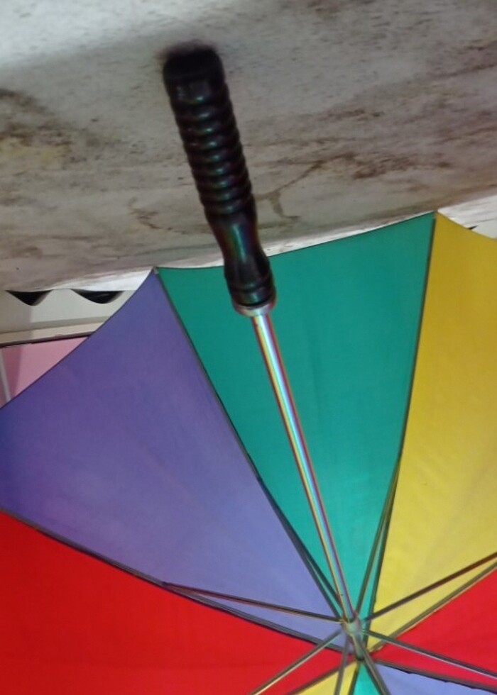 Şemsiye - Görsel 2
