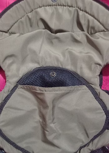 Gri Bebek Taşıyıcı kanguru - Görsel 2