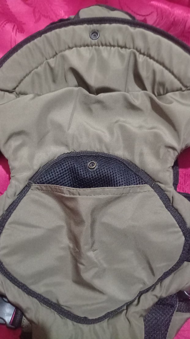 Gri Bebek Taşıyıcı kanguru - Görsel 2